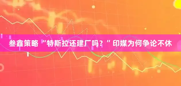 叁鑫策略 “特斯拉还建厂吗？”印媒为何争论不休